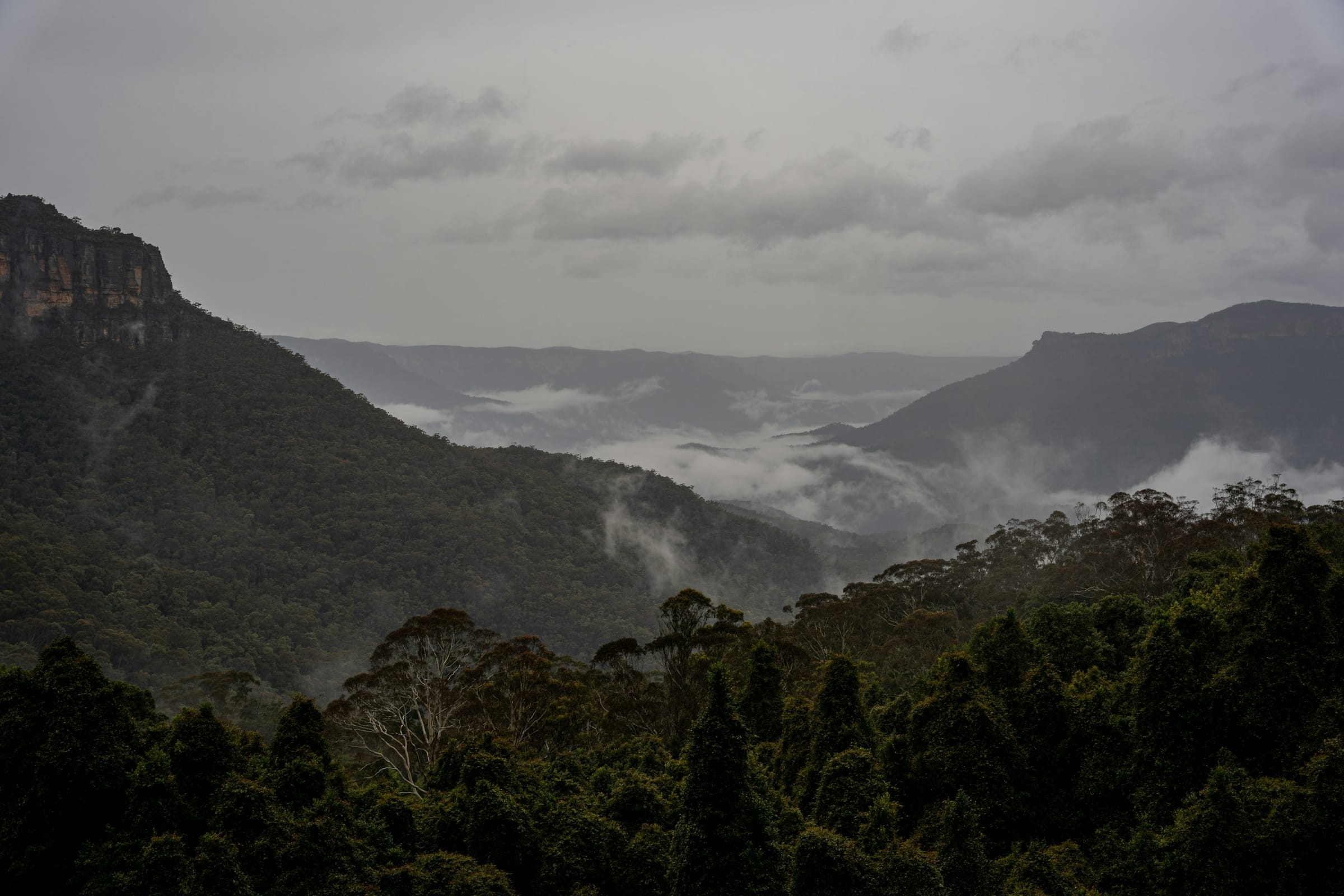 Mist settling in a Blue Mountains valley