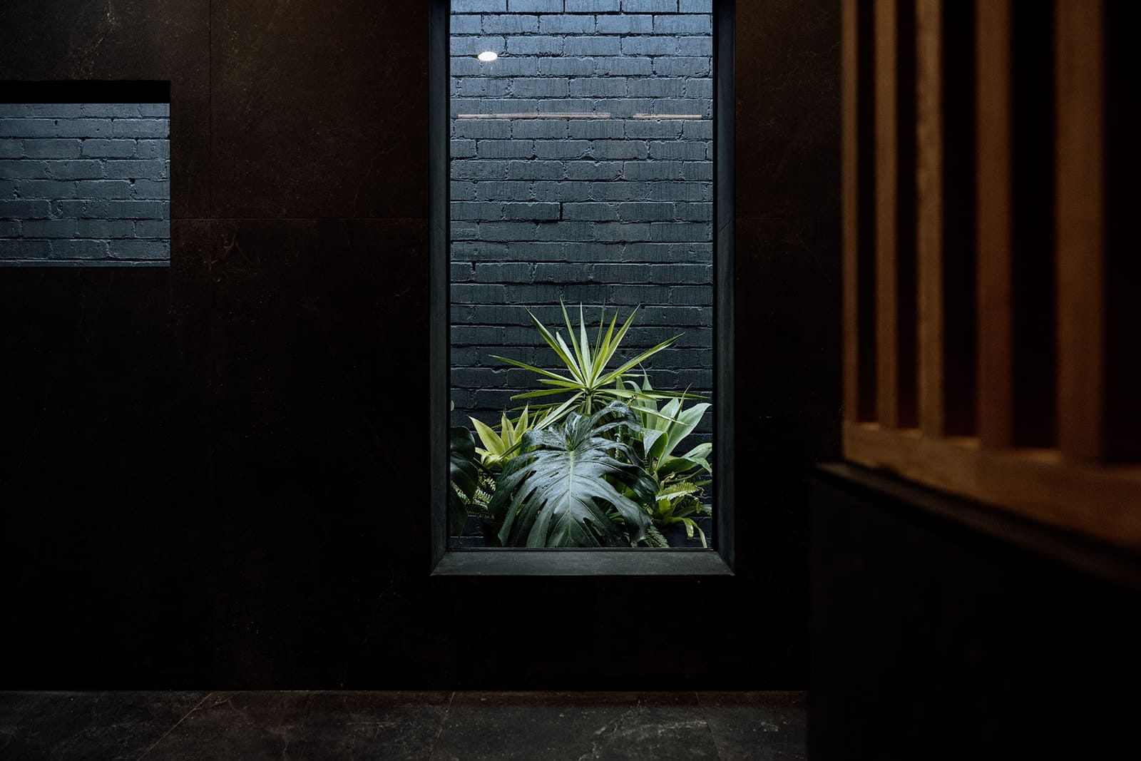 A window of green plants set into a dark stone wall